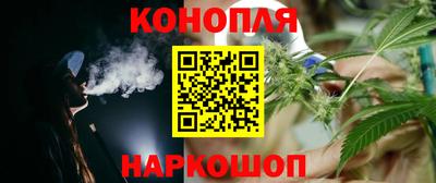 прущие грибы Лесосибирск