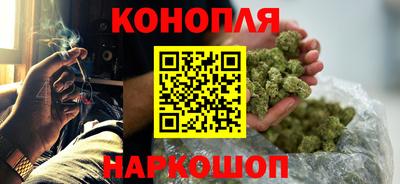 прущие грибы Лесосибирск