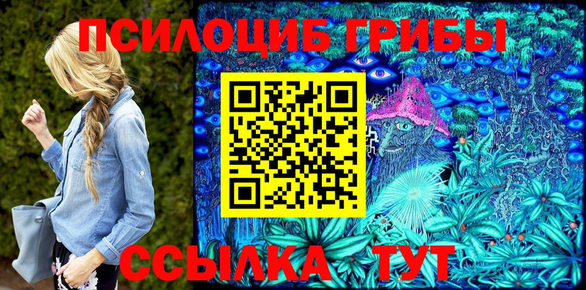 Псилоцибиновые грибы Cubensis Семёнов