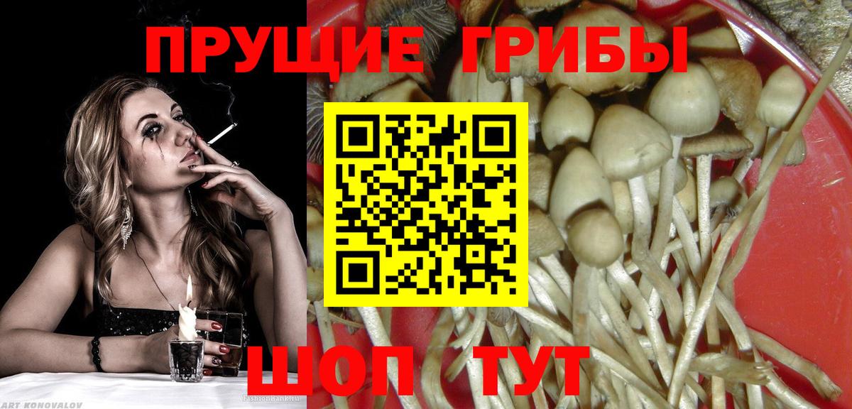Галлюциногенные грибы GOLDEN TEACHER  Вход с VPN  Семёнов 